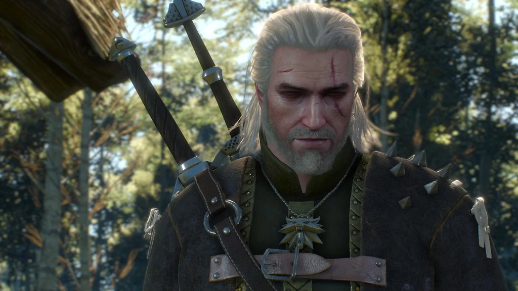 Witcher Books