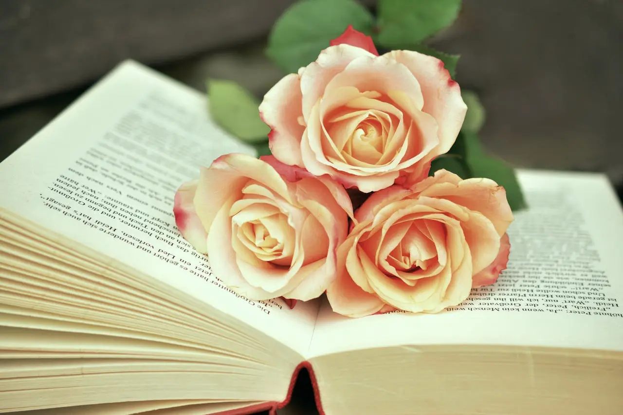 Nicholas Sparks Books In Order