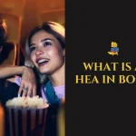 What Is an HEA in Books